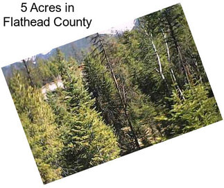 5 Acres in Flathead County