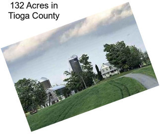 132 Acres in Tioga County