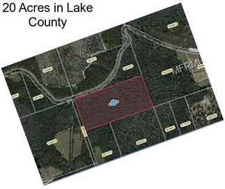 20 Acres in Lake County
