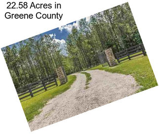 22.58 Acres in Greene County