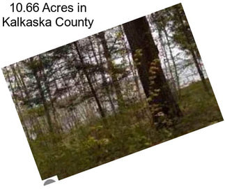 10.66 Acres in Kalkaska County