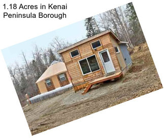 1.18 Acres in Kenai Peninsula Borough