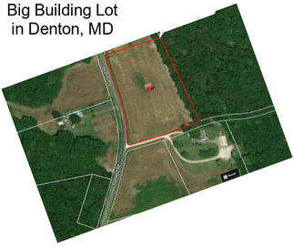 Big Building Lot in Denton, MD