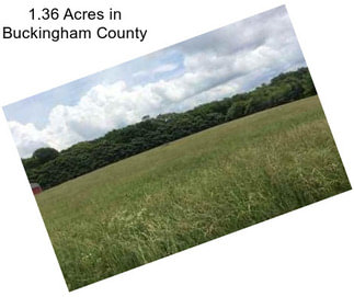 1.36 Acres in Buckingham County