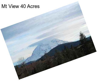 Mt View 40 Acres