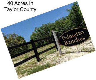 40 Acres in Taylor County