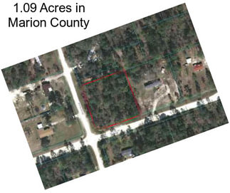 1.09 Acres in Marion County