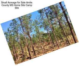 Small Acreage for Sale Amite County MS Home Site Camp Site