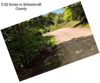 0.52 Acres in Schoolcraft County