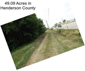 49.09 Acres in Henderson County