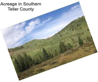 Acreage in Southern Teller County