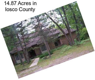 14.87 Acres in Iosco County