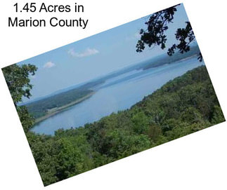 1.45 Acres in Marion County