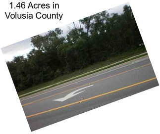 1.46 Acres in Volusia County