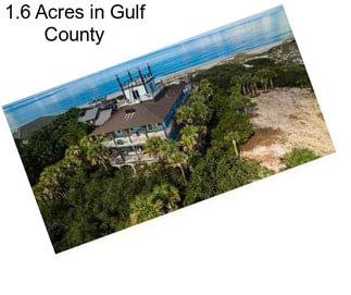 1.6 Acres in Gulf County