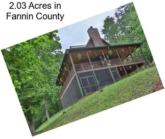 2.03 Acres in Fannin County