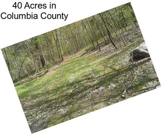 40 Acres in Columbia County