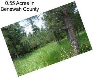 0.55 Acres in Benewah County