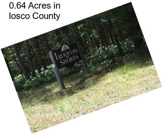 0.64 Acres in Iosco County