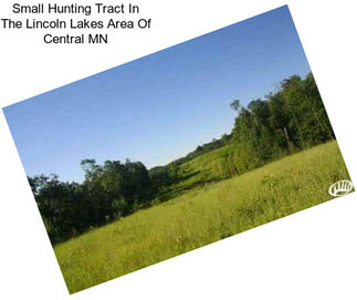 Small Hunting Tract In The Lincoln Lakes Area Of Central MN