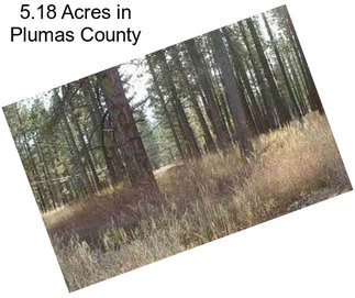 5.18 Acres in Plumas County