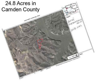 24.8 Acres in Camden County