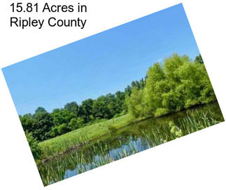 15.81 Acres in Ripley County
