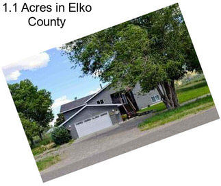 1.1 Acres in Elko County