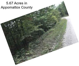 5.67 Acres in Appomattox County