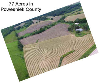77 Acres in Poweshiek County