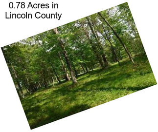 0.78 Acres in Lincoln County