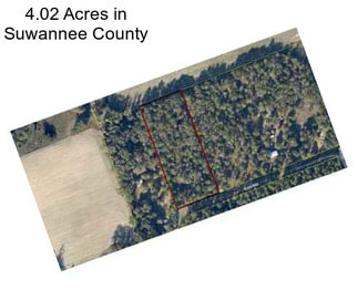 4.02 Acres in Suwannee County