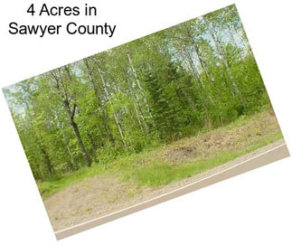 4 Acres in Sawyer County