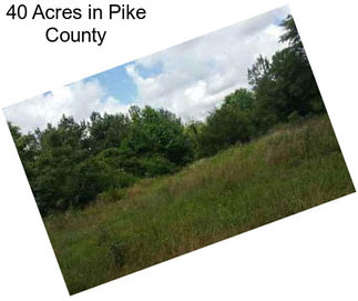 40 Acres in Pike County