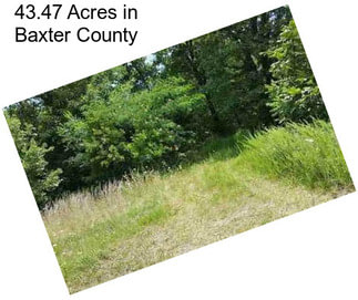 43.47 Acres in Baxter County