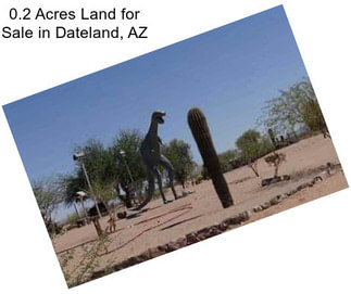 0.2 Acres Land for Sale in Dateland, AZ