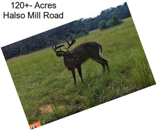 120+- Acres Halso Mill Road