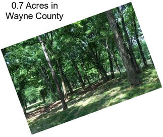 0.7 Acres in Wayne County