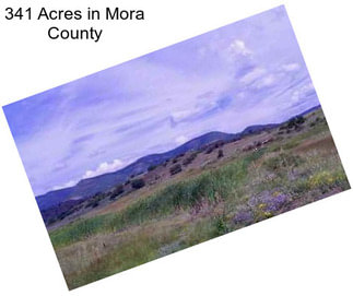 341 Acres in Mora County