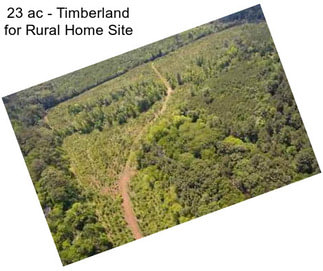 23 ac - Timberland for Rural Home Site