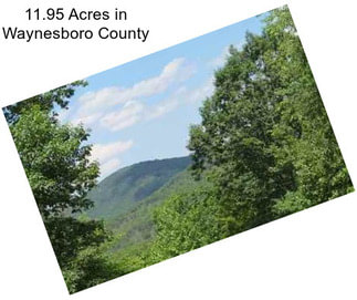 11.95 Acres in Waynesboro County