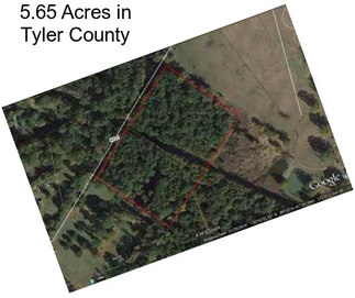 5.65 Acres in Tyler County