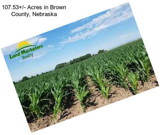 107.53+/- Acres in Brown County, Nebraska