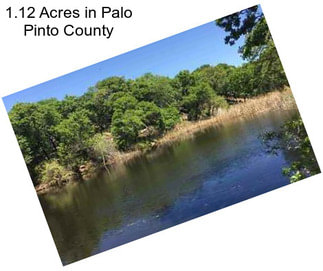 1.12 Acres in Palo Pinto County