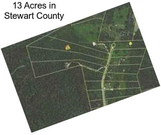 13 Acres in Stewart County