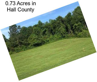 0.73 Acres in Hall County