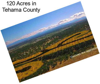 120 Acres in Tehama County