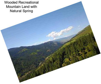 Wooded Recreational Mountain Land with Natural Spring