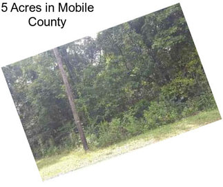 5 Acres in Mobile County