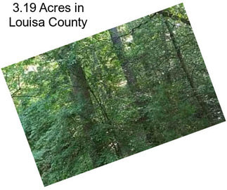 3.19 Acres in Louisa County